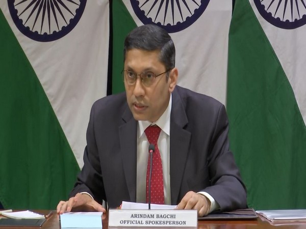 High-level committee set up to look into security concerns raised by US: MEA