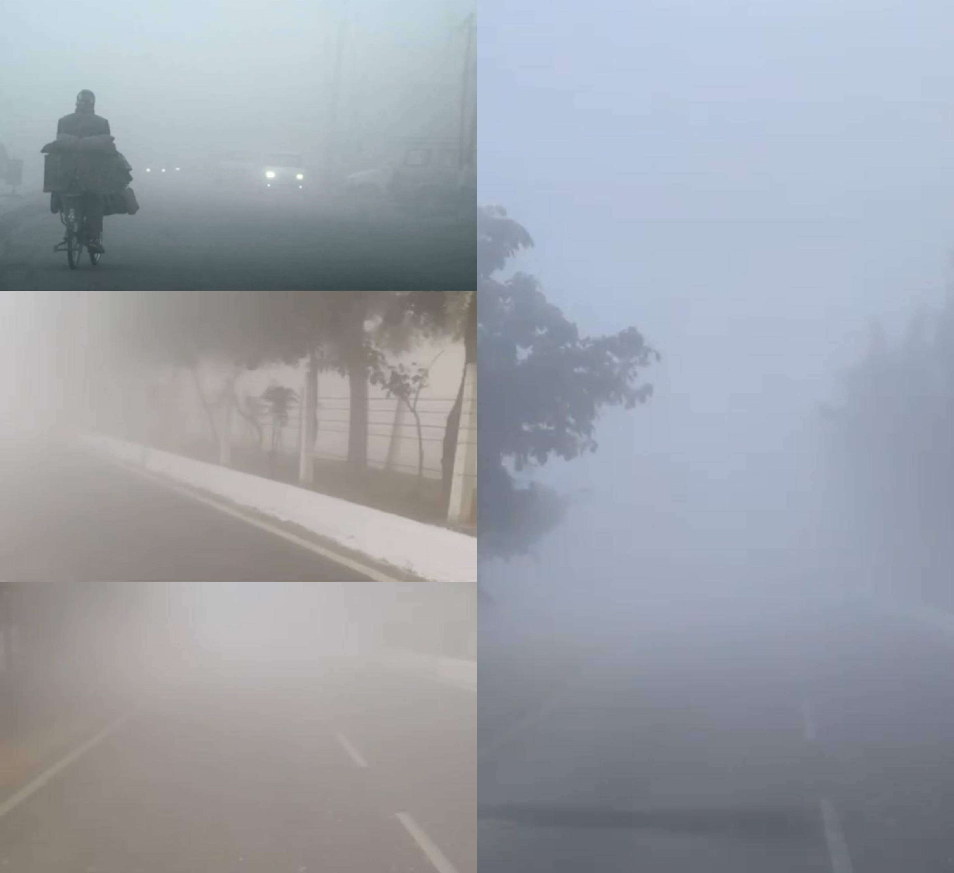 उत्तर भारत में प्रचंड शीत लहर, अगले दो दिन घने कोहरे का अनुमान