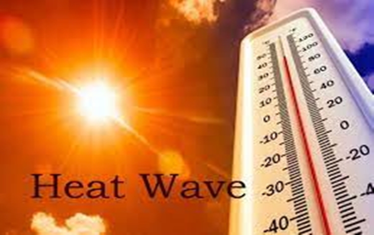 Severe heatwave conditions in several states; rainfall in Northeast India: IMD