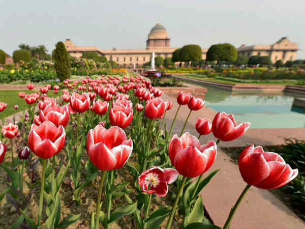 मुगल गार्डन 6 फरवरी से जनता के लिए खुलेगा