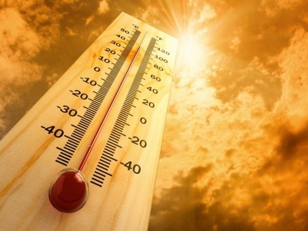 IMD issues orange alert for Kerala’s Palakkad amid strong heatwave