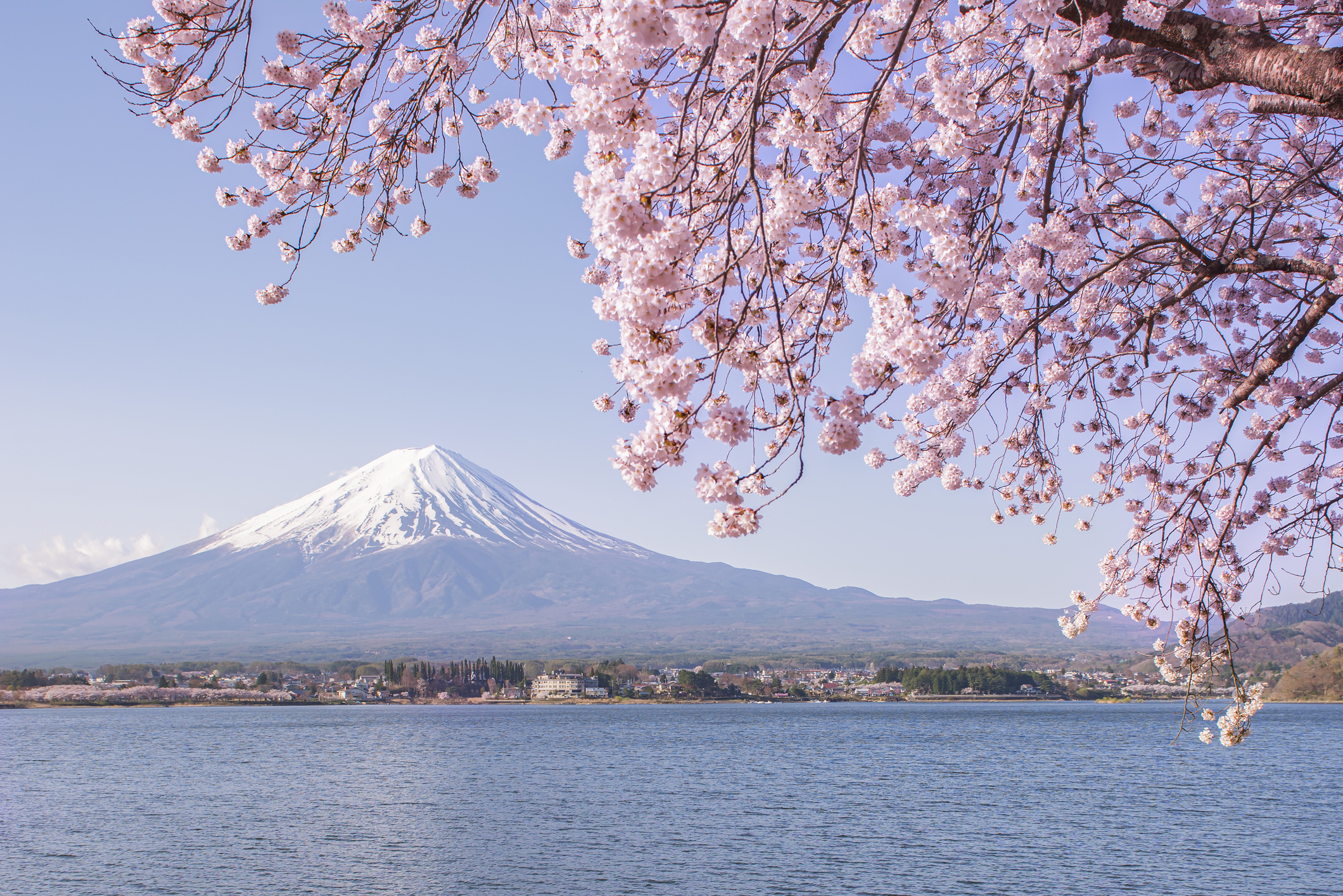 Swarmed with tourists, Japan town blocks off viral view of Mt. Fuji