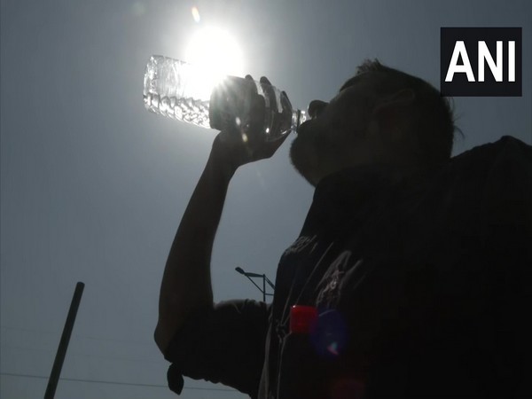 Delhi-NCR sizzles, IMD issues ‘red alert’ for heatwave across north India