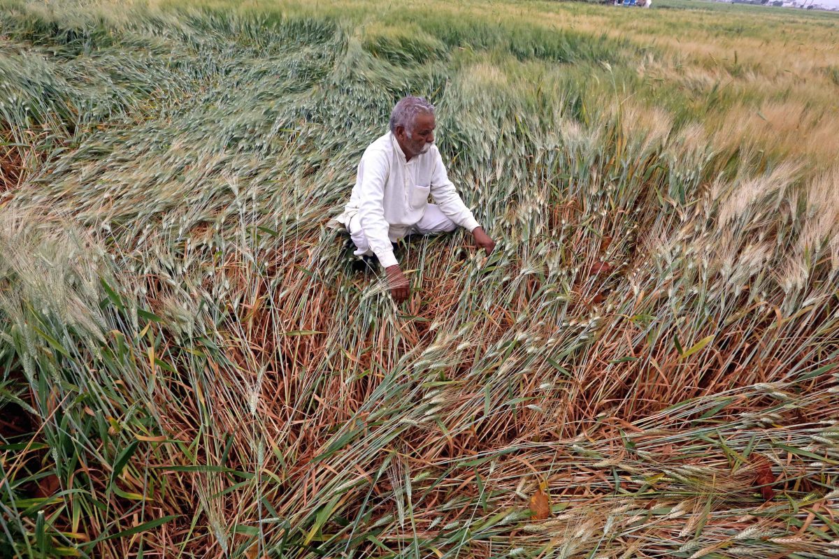 Cabinet approves MSP for 14 Kharif season crops, farmers to get Rs 35,000 crore more over previous season