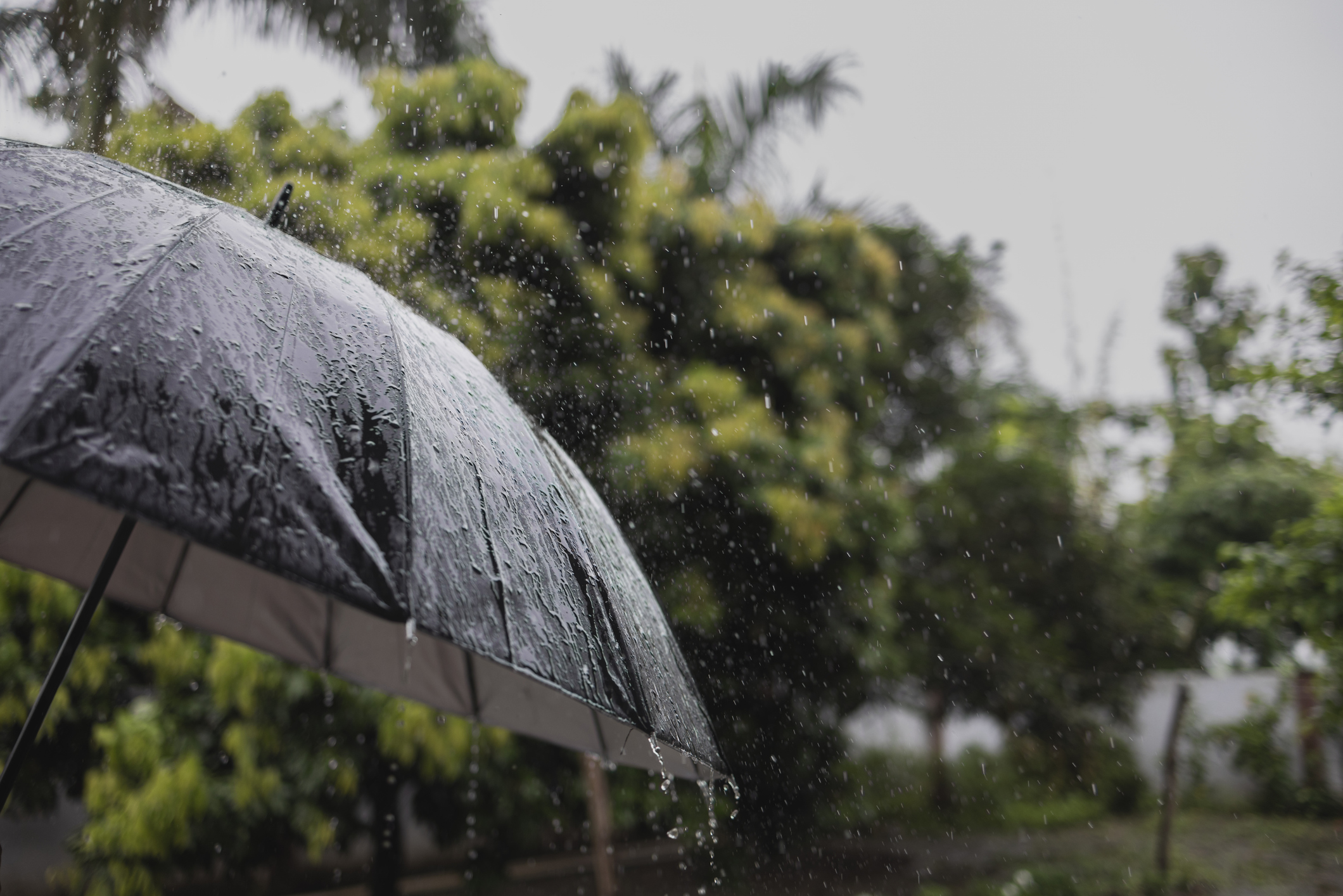 IMD issues alert for widespread rainfall and thunderstorms across multiple regions