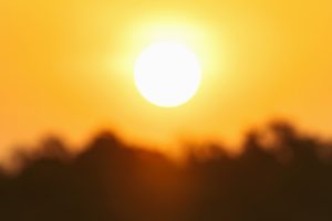 IMD issues five-day heatwave warning for Madhya Pradesh, advises precautions