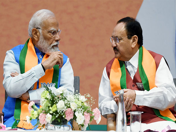BJP to appoint new national president by December