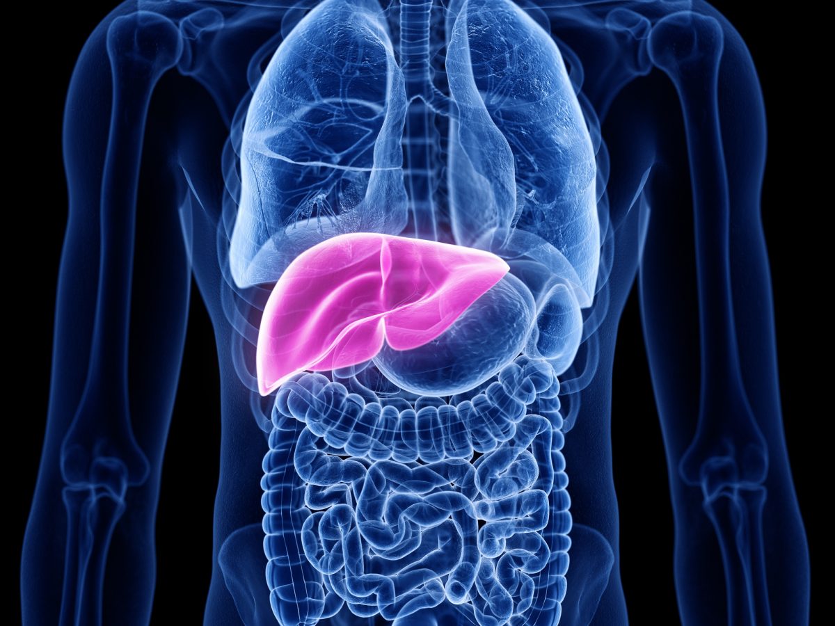 Researchers reveals ways of preventing cancer cells from colonizing liver