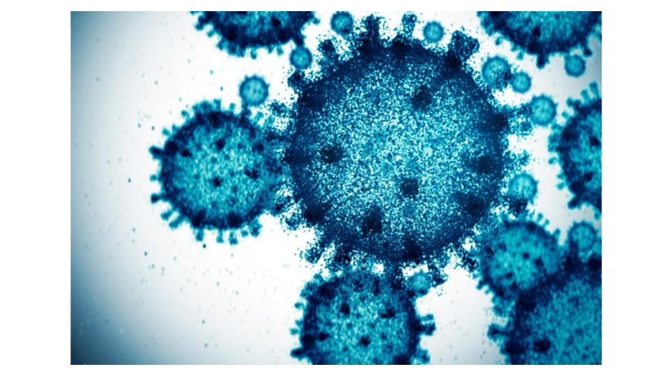 Study reveals influenza viruses can use two pathways to infect