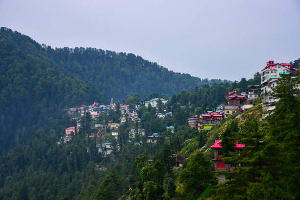 हिमाचल प्रदेश के 5 जिलों में बाढ़ का खतरा, 18 अगस्त तक भारी बारिश का अलर्ट