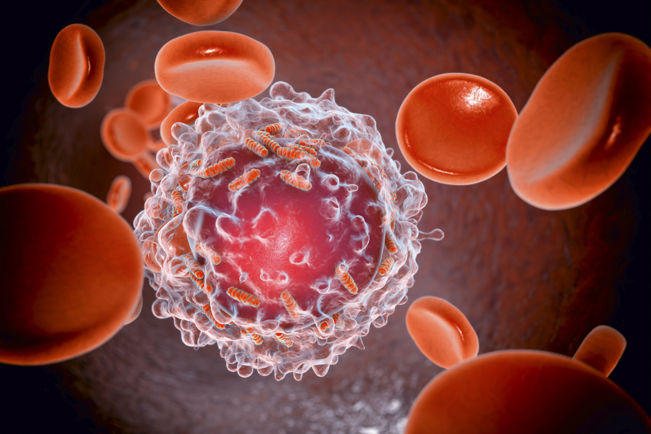 Researchers discover how body’s natural killer cells protects from cancer