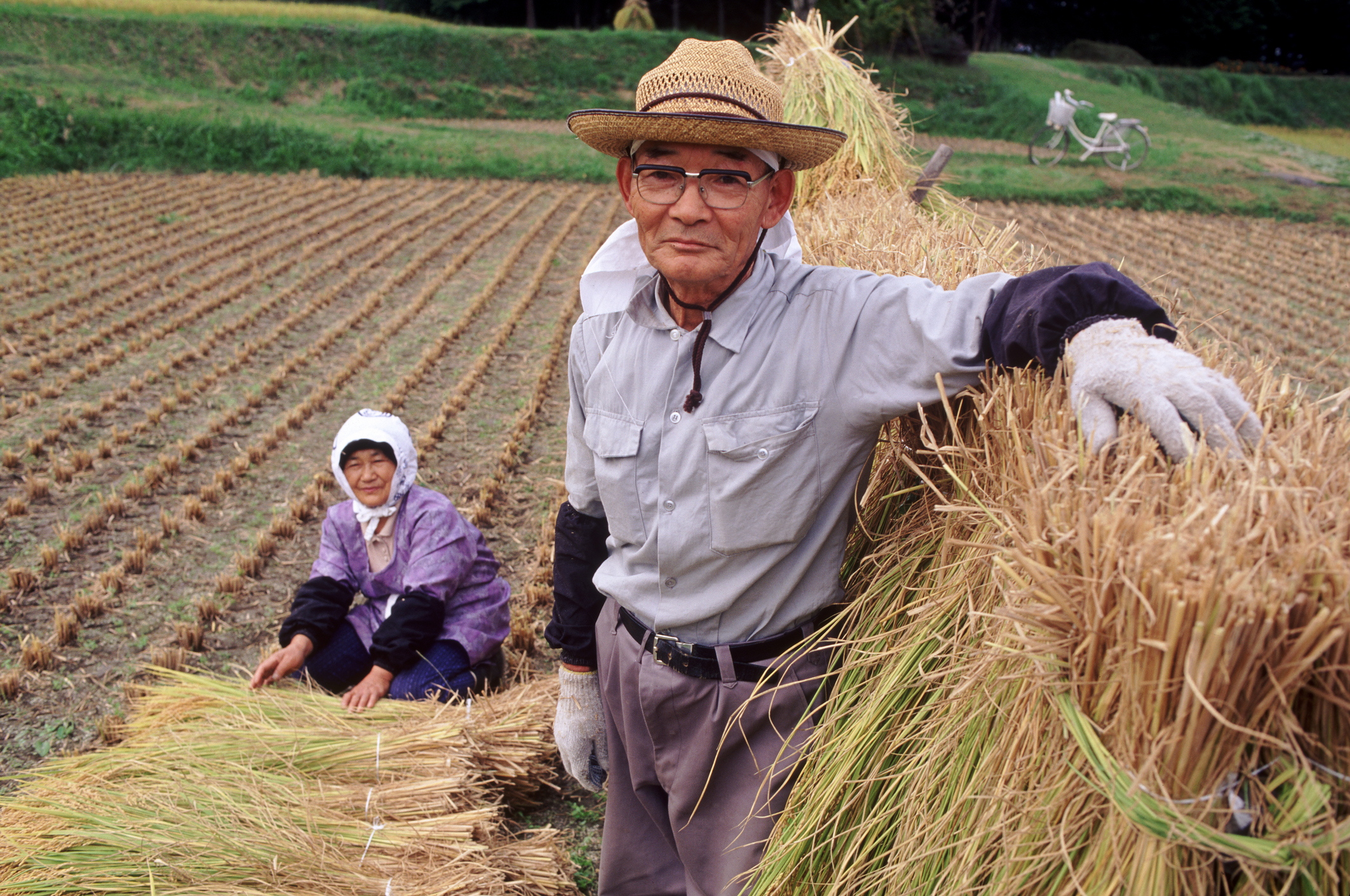 Heat stroke risk won’t stop Japan’s ageing farmers as temperatures soar