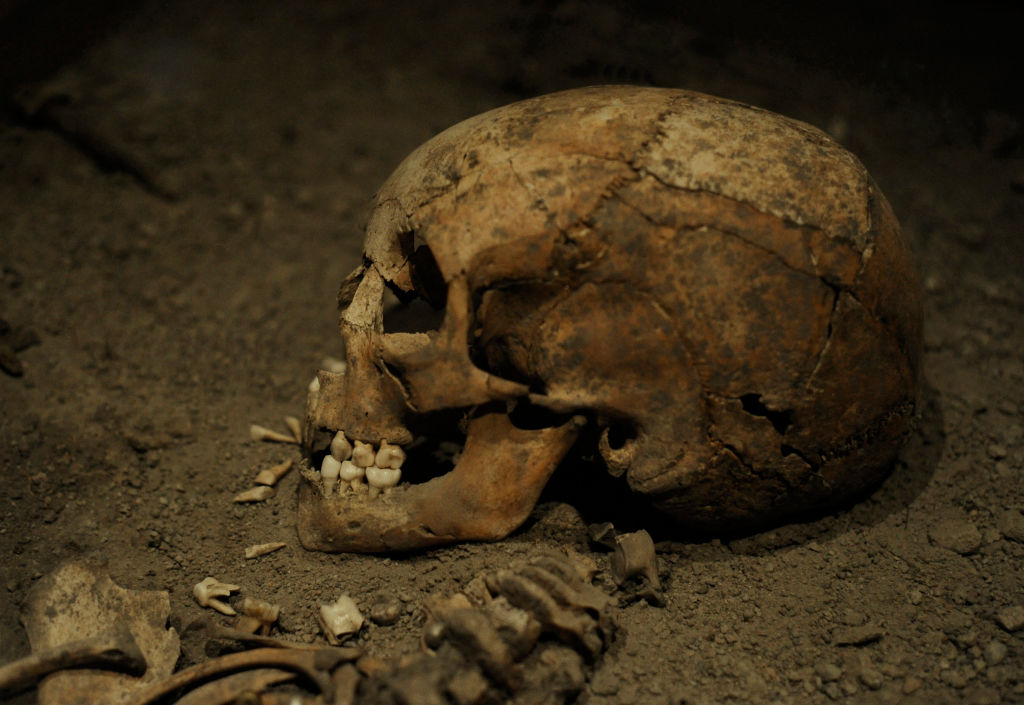 Danish archaeologists unearth 50 Viking skeletons