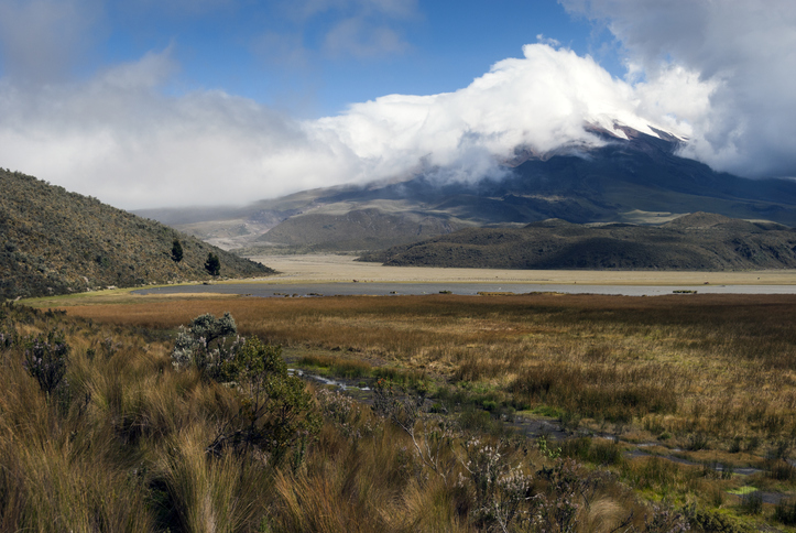 Colombia and Ecuador fight to save vital wetlands amid drought