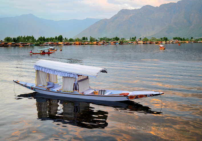 Famous Chinar boat race organised in J&K’s Dal Lake