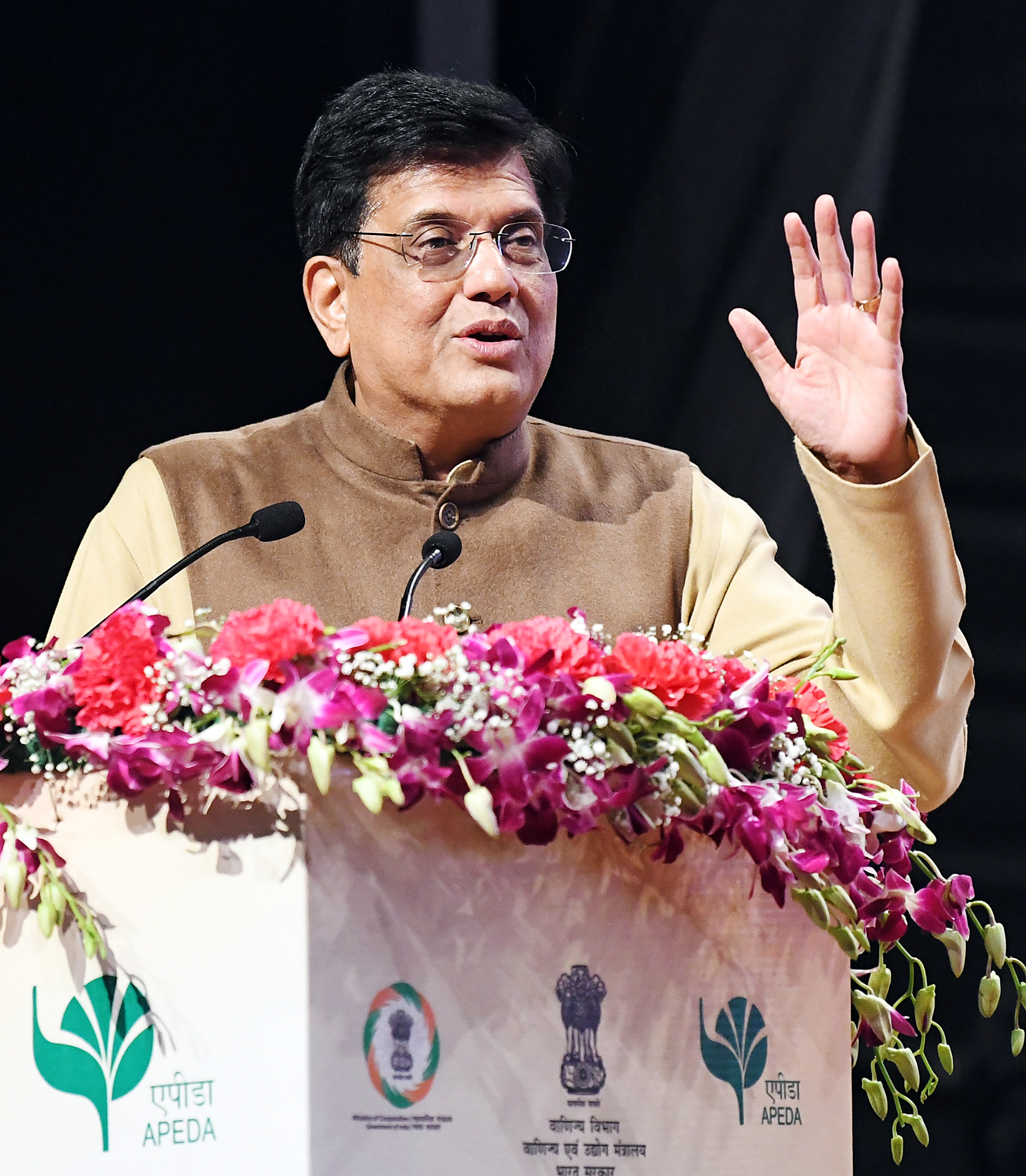 India Positioned as Global Hub for Data Centres: Piyush Goyal