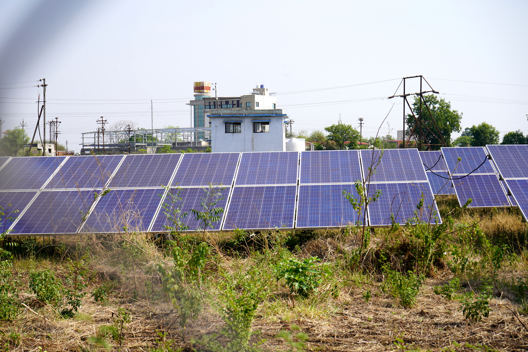 India projected to see 5-times surge in green investments at Rs 31 lakh crore till 2030