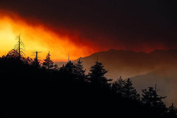 Wildfires rage in Los Angeles, forcing tens of thousands to flee