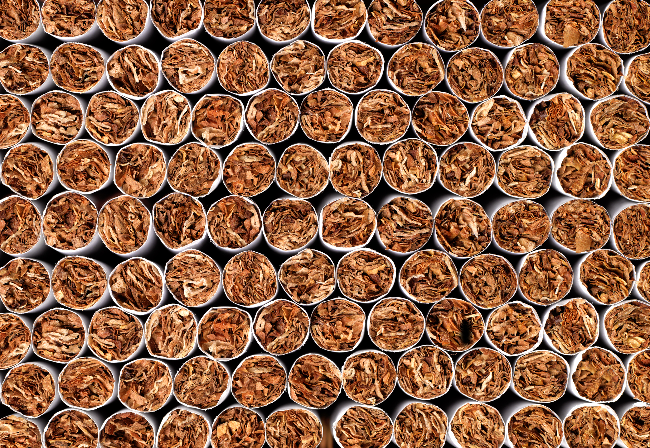 India’s tobacco exports surge to a record high of Rs 12,005 crore