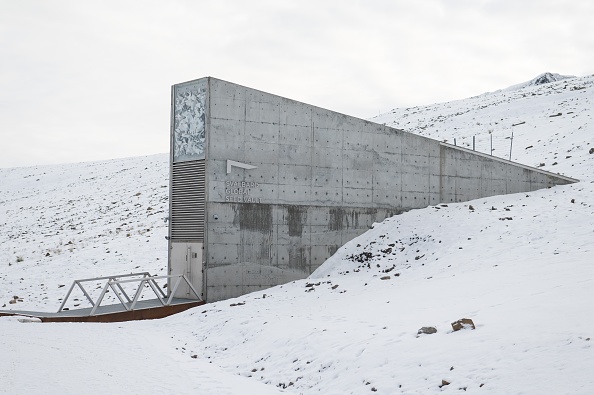 Arctic doomsday seed vault gets more than 14,000 new samples