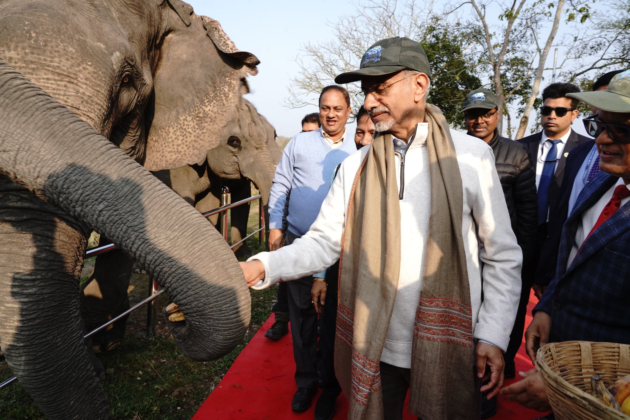 EAM S Jaishankar and ambassadors of 45 countries take Elephant safari in Kaziranga National Park