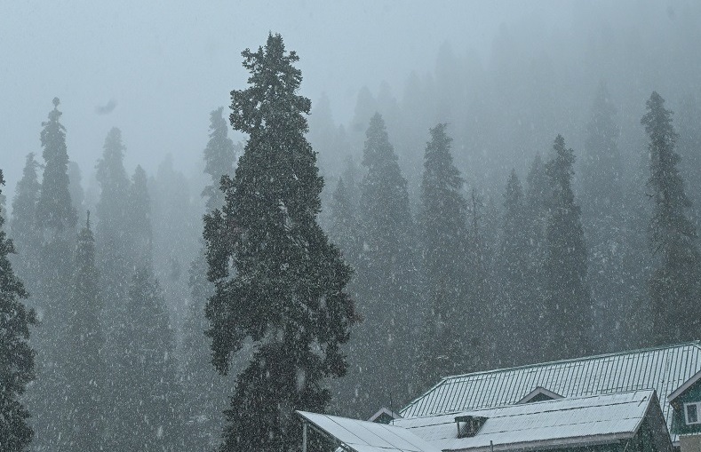 Fresh snowfall in Kashmir’s higher reaches as rain showers lash J&K