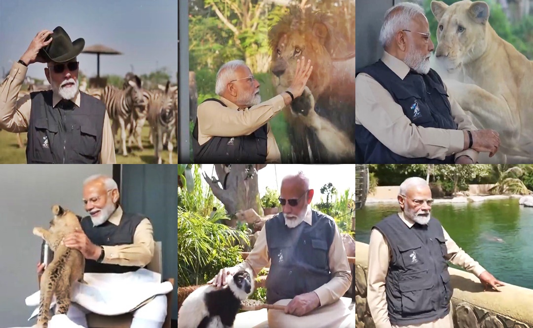 PM Modi inaugurates Vantara animal rescue center during Gujarat visit