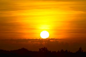 Deadly heatwave hits US and Europe, claims hundreds of lives, shatters temperature records