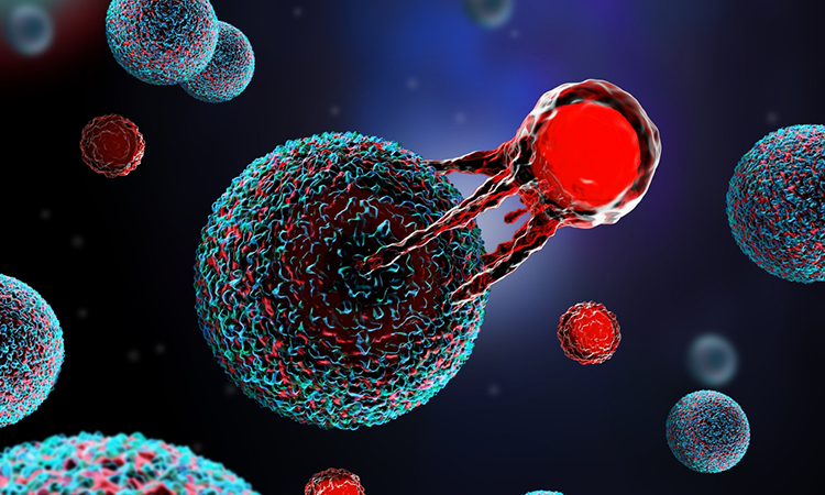 Novel CAR-T therapy shows promise against hard-to-treat cancer