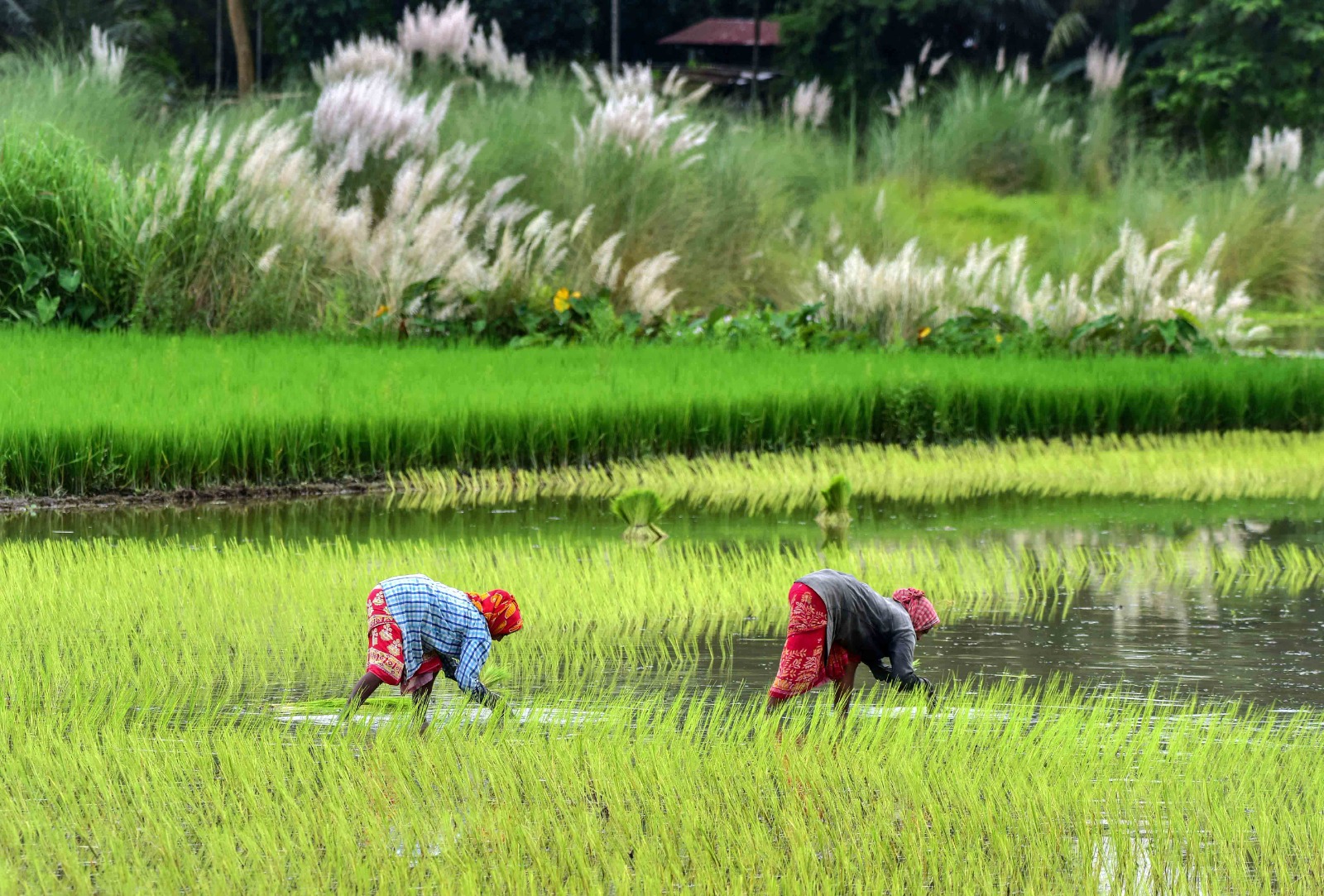 Farm and rural workers get respite as inflation burden eases further in March