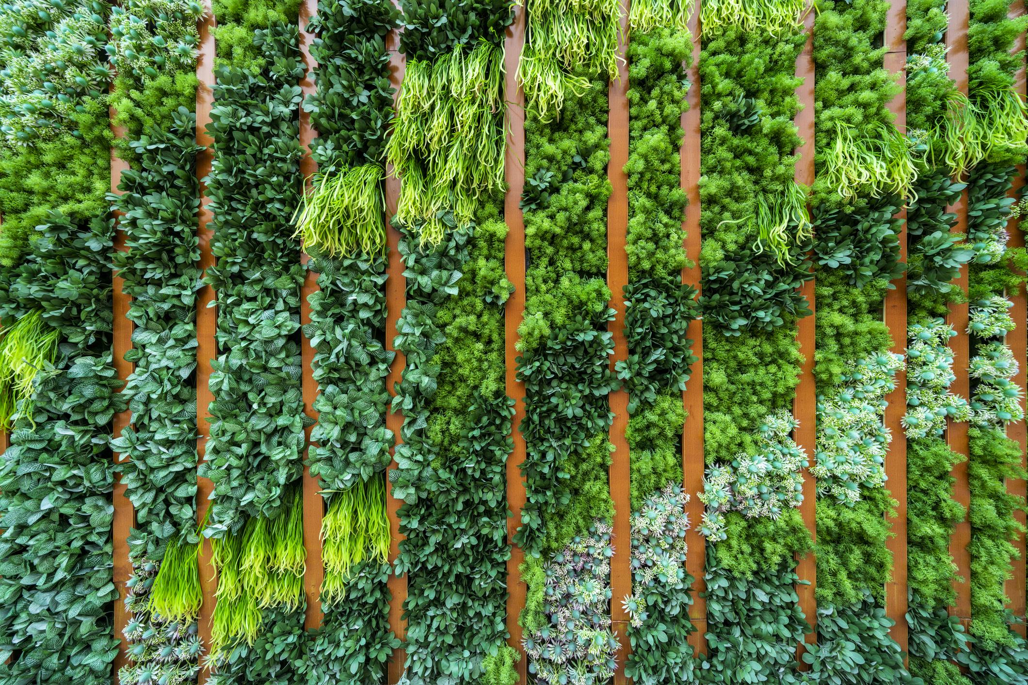 Increasing urban vegetation can save over 1.1 mn lives from heat-related deaths: Study