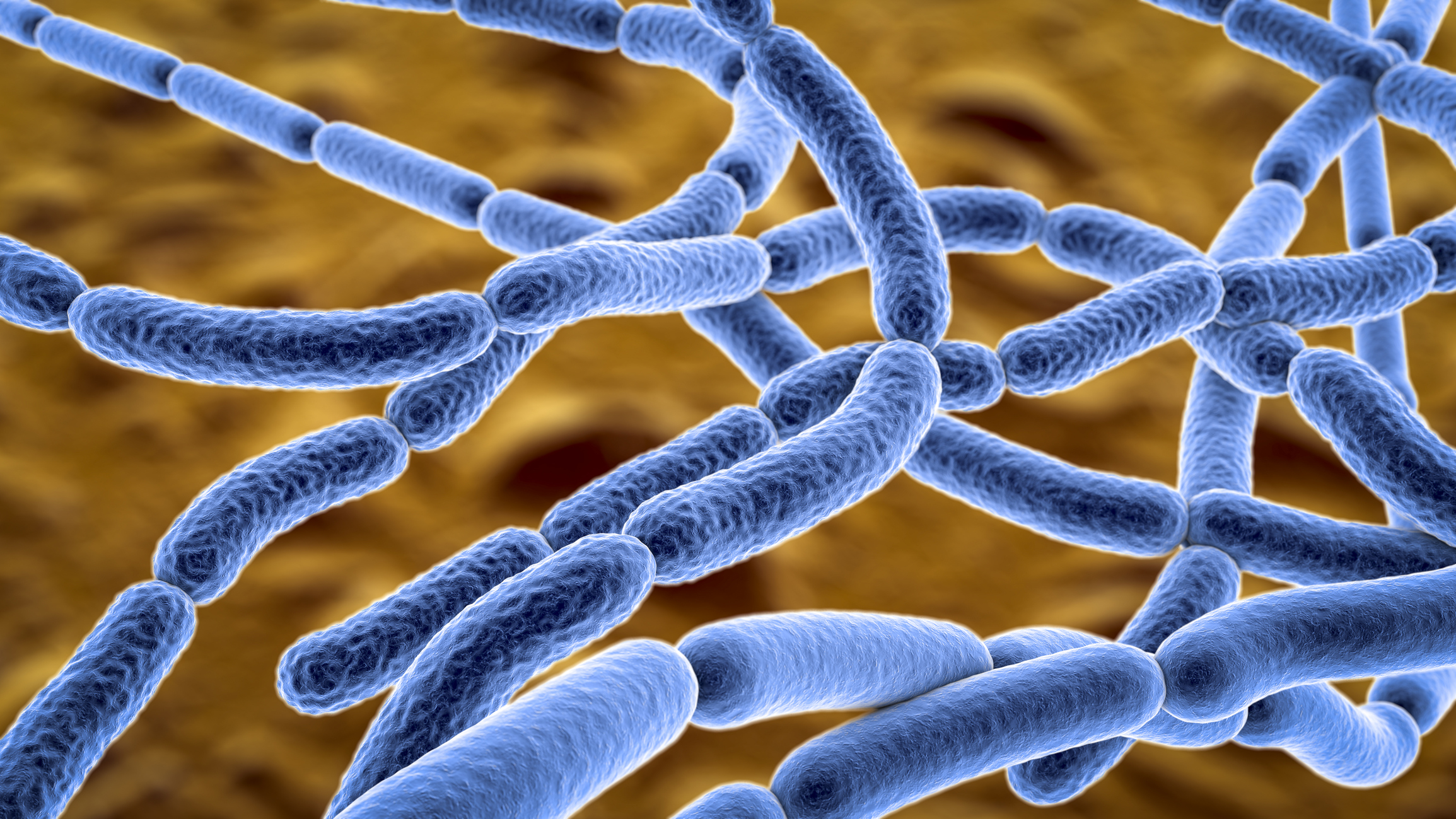 Thailand reports first anthrax death, hundreds potentially exposed