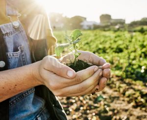 Smart farming powers the next era of sustainable agriculture