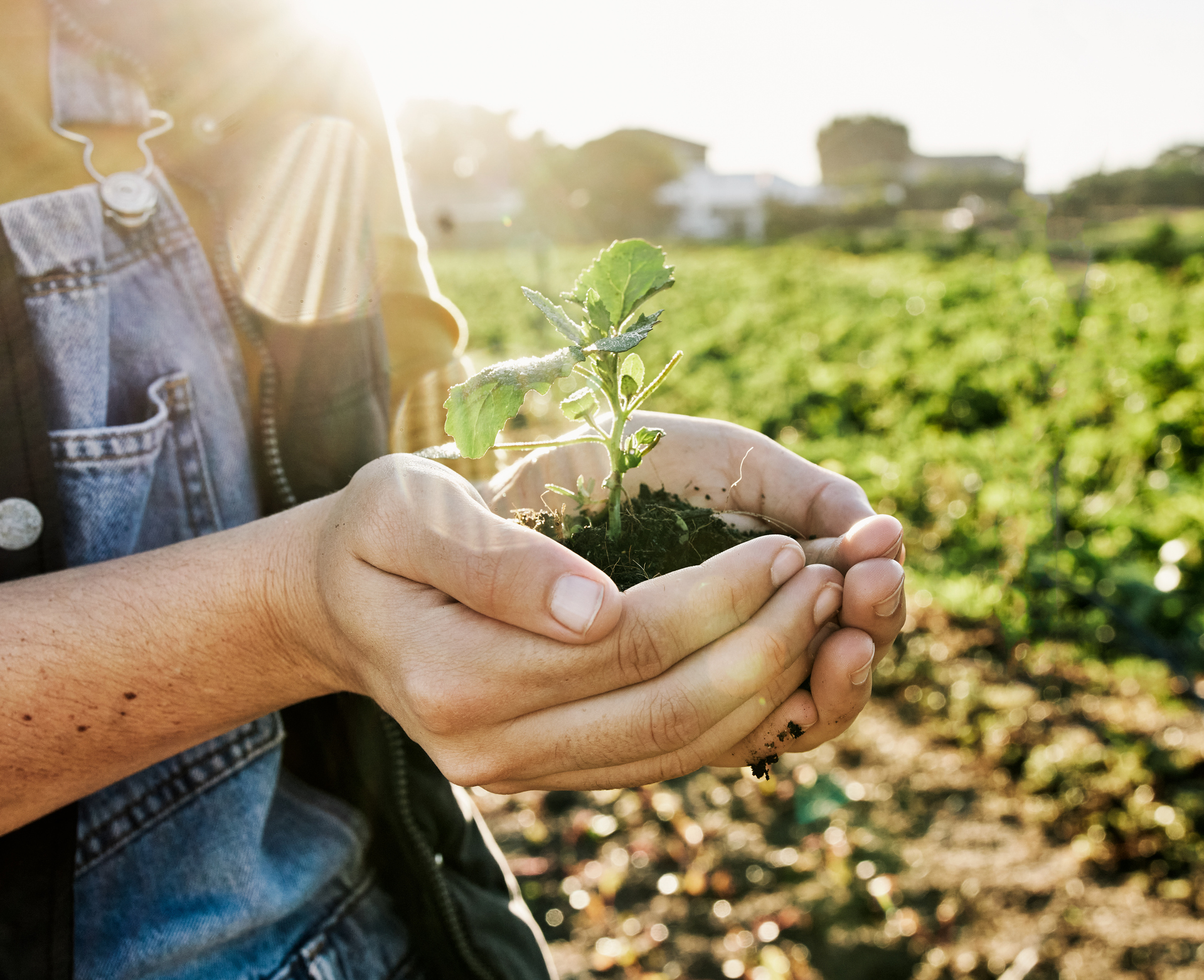 Smart farming powers the next era of sustainable agriculture