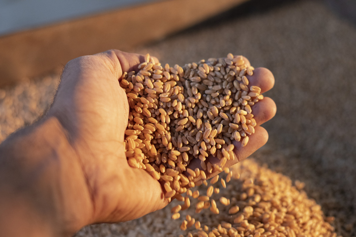Center to launch ‘Depot Darpan’ portal for real-time monitoring of food storage depots