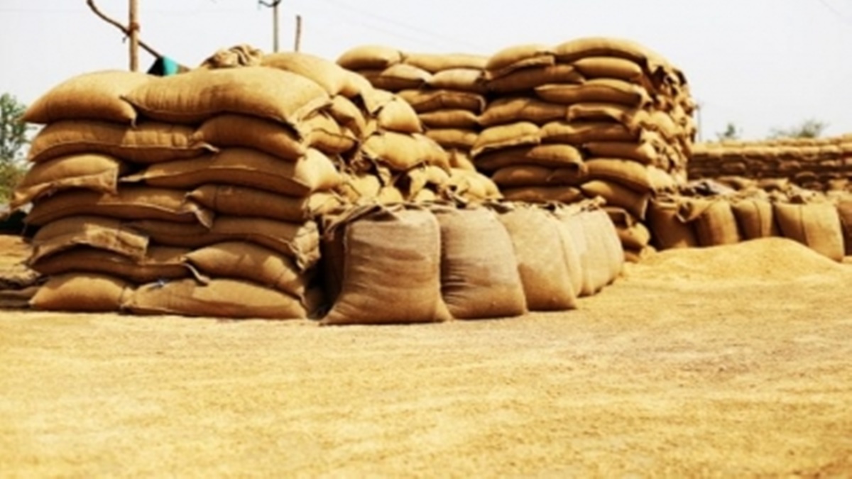 No wheat glut in Punjab mandis, procurement and lifting better than last year: Centre