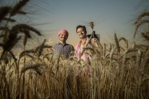 Fasal Bima Yojana: Protecting farmers, strengthening India’s agriculture