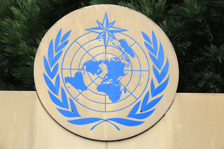 “Bombs its own people, conducts systematic genocide”: India rips apart Pakistan at UN