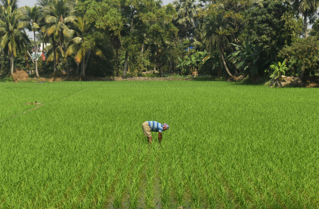 महाराष्ट्र में 17–20 मार्च के बीच खराब मौसम का अलर्ट, किसानों को सतर्क रहने की सलाह