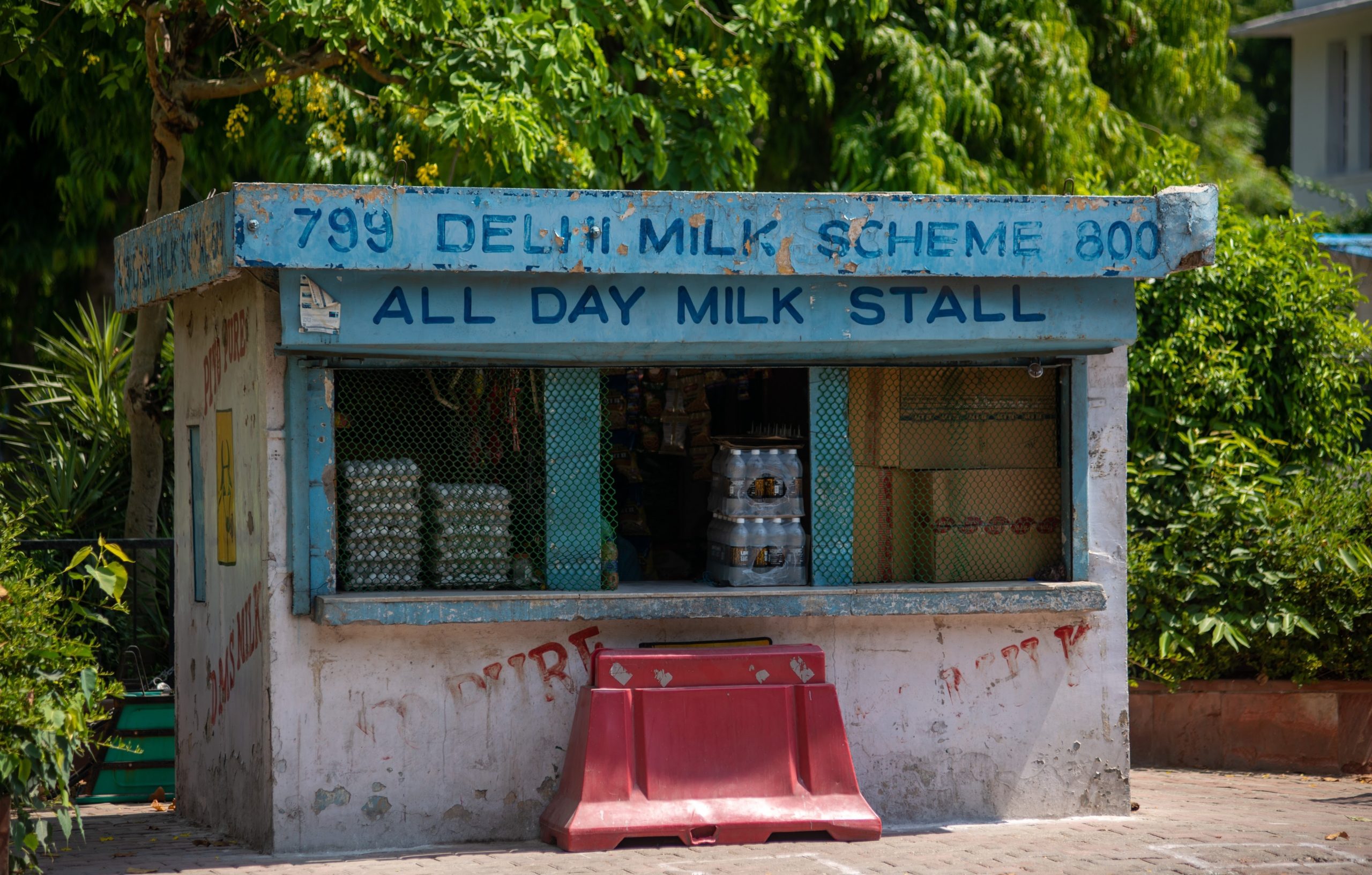 Delhi Milk Scheme launches new dairy products, allots 22 booths