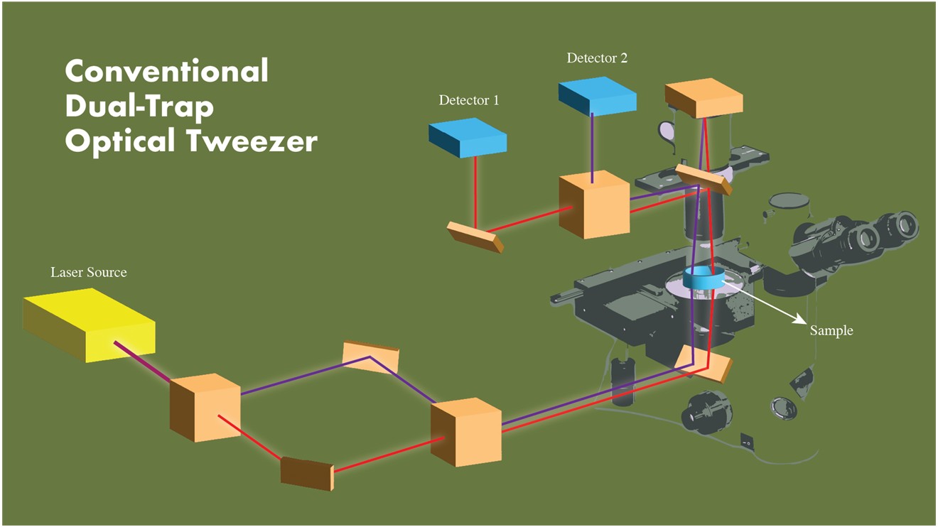 Indian scientists develop advanced dual-trap optical tweezers to boost research in biology, medicine and nanoscience