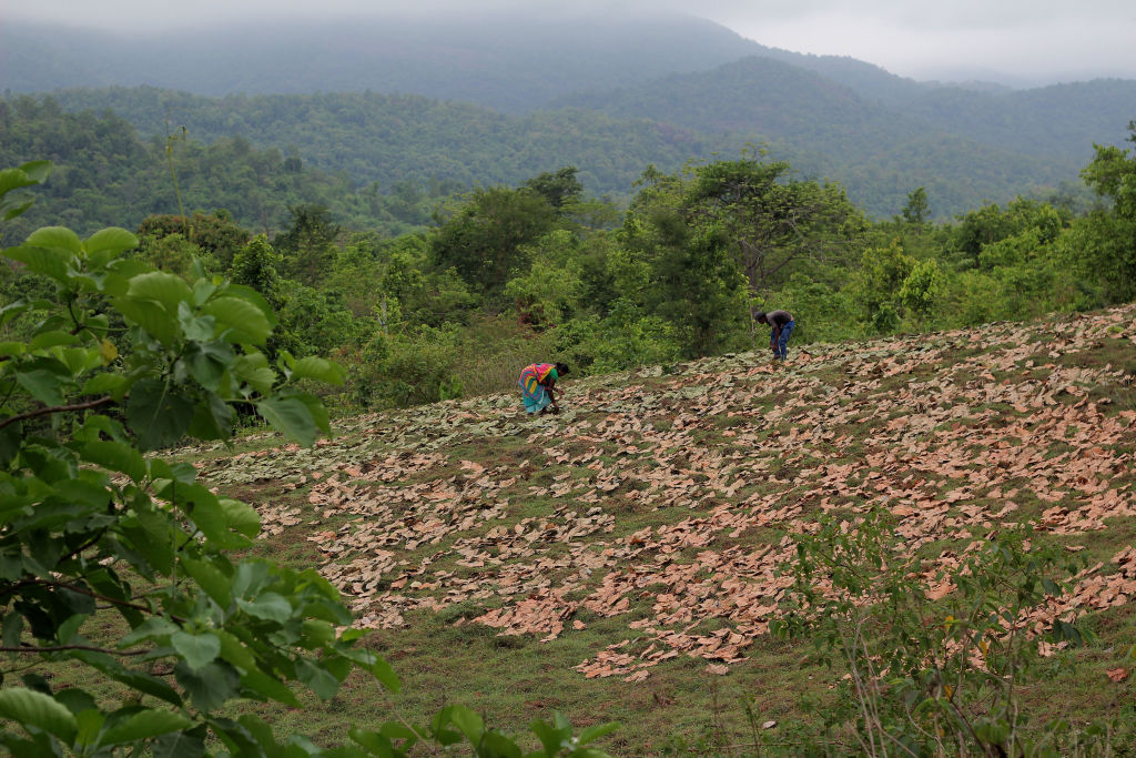 जीएसटी सुधार से किसानों को मिलेगी राहत, ट्रैक्टर, उर्वरक, डेयरी और शहद पर टैक्स घटा