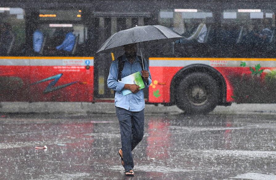 IMD forecasts heavy rain, strong winds over Mumbai; waterlogging disrupts Western Railway Services