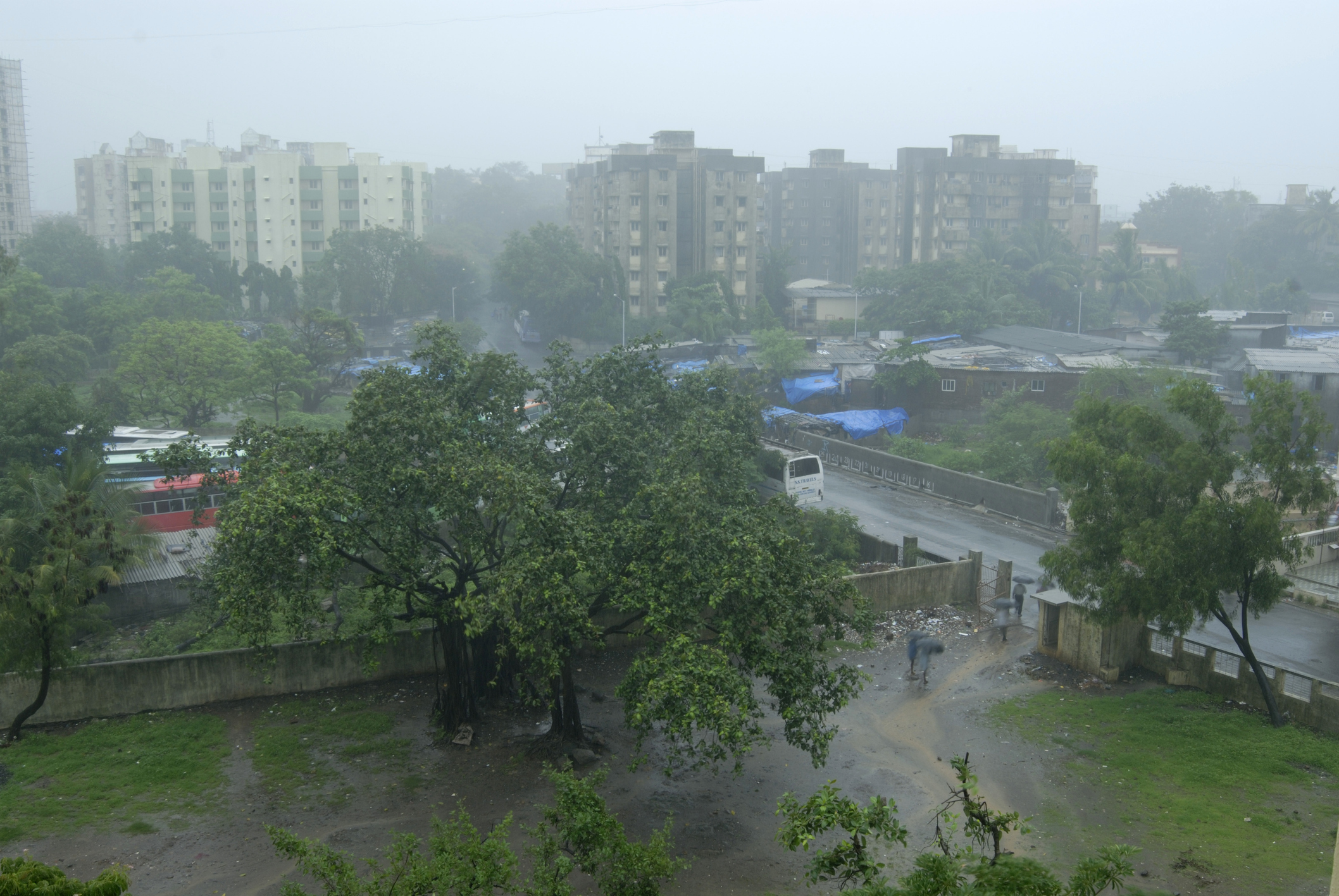 आईएमडी ने महाराष्ट्र के कई जिलों के लिए येलो अलर्ट किया जारी