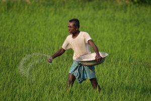 Fertiliser Supplies Stable Despite Global Disruptions: Centre