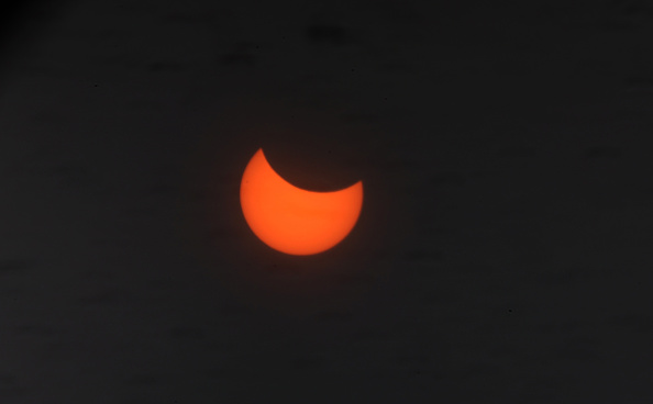 Study shows how solar eclipse made some birds sing like a new day dawned