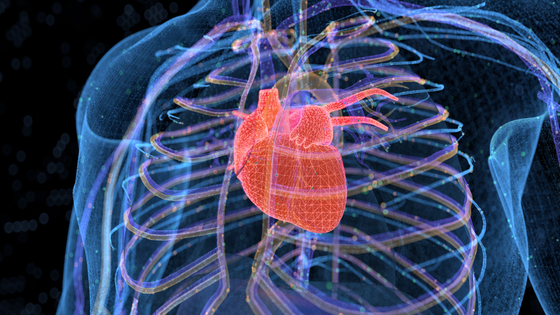 Heart attack risk underestimated in 45% of cases under existing screening methods: Study
