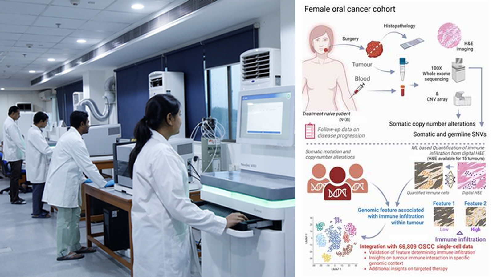 Indian scientists identify key gene mutations driving oral cancer in women