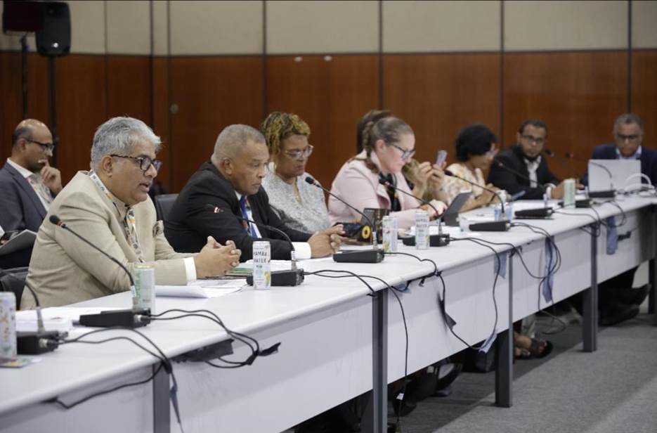 India pushes stronger global cooperation to boost energy security for small island states at COP30