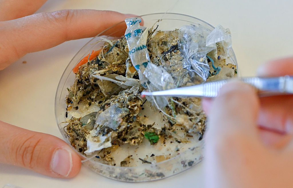 Fathers’ Microplastic Exposure May Raise Risk of Diabetes in Daughters: Study